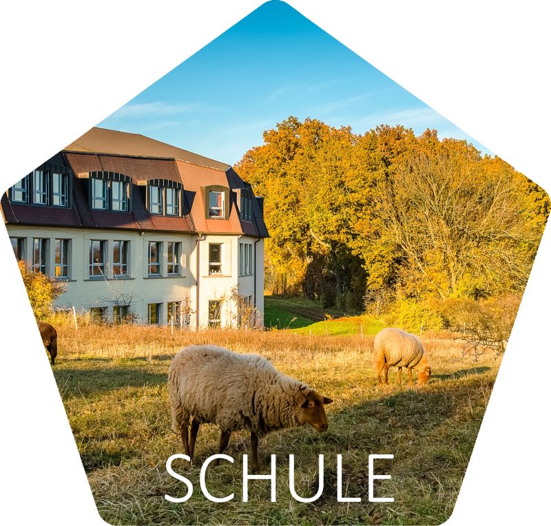 RSSC Schule Startseite